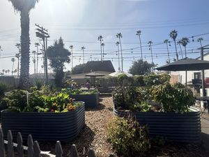   at The Plot in Oceanside