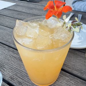   at The Plot in Oceanside