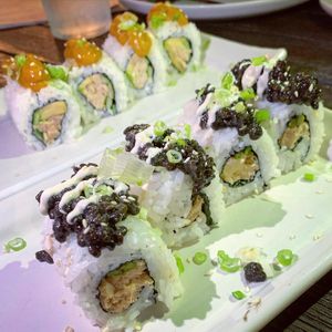 What the vegan and robin leach  at The Plot in Oceanside