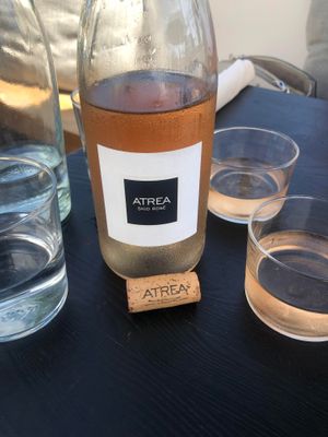 Skid Rose at The Plot in Oceanside