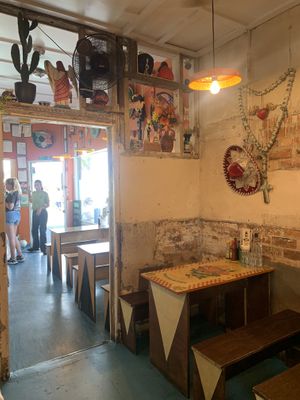   at Taco Loco in Auckland