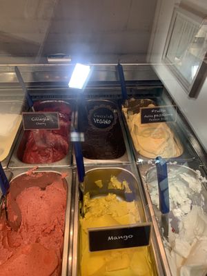 Some of the selection  at Il Gelato di Santa Maria in Rome
