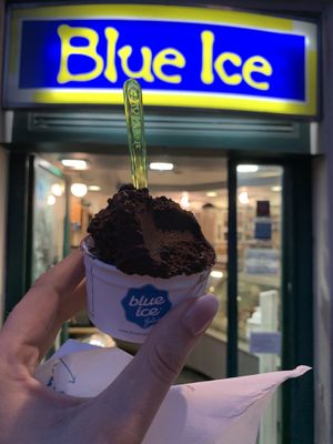 Vegan chocolate ice cream  at Il Gelato di Santa Maria in Rome