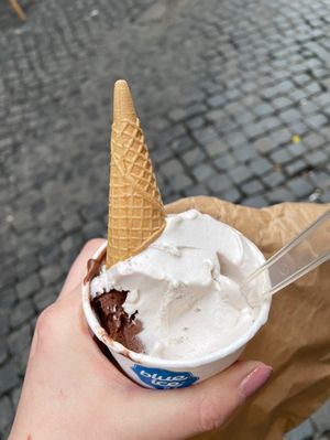 Delicious vegan chocolate and banana gelato   at Il Gelato di Santa Maria in Rome