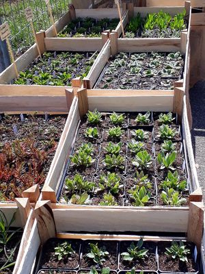  at BioWelten BistroCafé & Organic Supermarket in Immenstadt