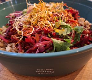Bunter Wintersalat mit Rote Bete, Grünkohl, Apfel, Kräutern, frischen Sprossen und angekeimten Walnüssen🥗🍀🥕 Eine wahre Farb- und Geschmacksexplosion #highvibefood at BioWelten BistroCafé & Organic Supermarket in Immenstadt
