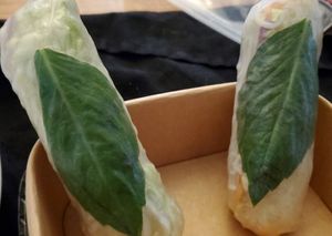 fresh rolls at Asian Plus Noodle & Rice in Westford