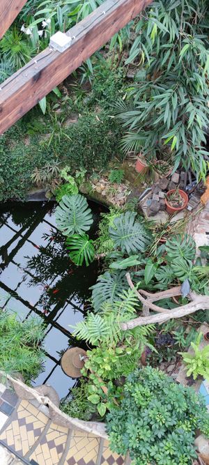  at Het Paradijs in Enschede