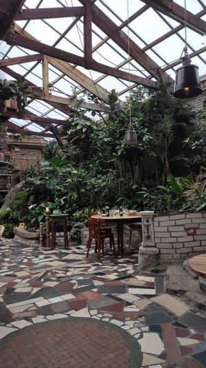  at Het Paradijs in Enschede