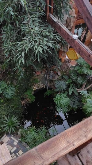  at Het Paradijs in Enschede