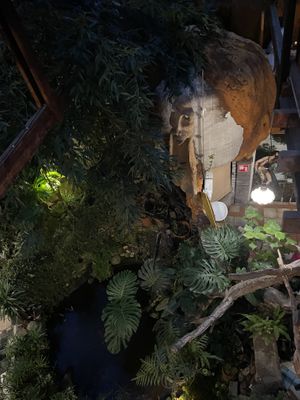   at Het Paradijs in Enschede