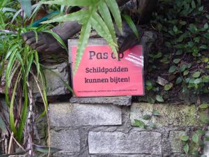 Watch out for the tortoises at Het Paradijs in Enschede