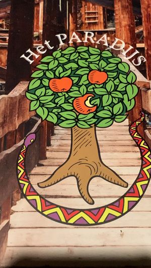   at Het Paradijs in Enschede