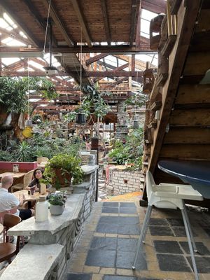   at Het Paradijs in Enschede