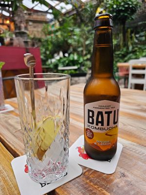 Batu kombucha at Het Paradijs in Enschede