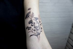𝙄𝙂: 𝙣𝙖𝙩𝙚_𝙩𝙝𝙖𝙞𝙡𝙖𝙣𝙙 🌿Blackwork micro realistic wild flowers tattoo by Baan Khagee Tattoo Chiang Mai, Thailand at Baan Khagee Tattoo in Chiang Mai