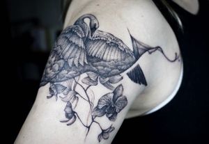 𝙄𝙂: 𝙣𝙖𝙩𝙚_𝙩𝙝𝙖𝙞𝙡𝙖𝙣𝙙 🌿ลายสักแนส realistic นกหงส์ ผสมกับดอกกล้วยไม้ ร้านสักเชียงใหม่ at Baan Khagee Tattoo in Chiang Mai