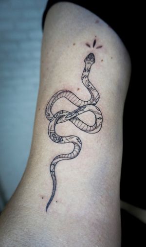 𝙄𝙂: 𝙣𝙖𝙩𝙚_𝙩𝙝𝙖𝙞𝙡𝙖𝙣𝙙 🌿Fine line snake tattoo with fine pattern by fine line tattoo artist in Chiang Mai, Thailand  at Baan Khagee Tattoo in Chiang Mai