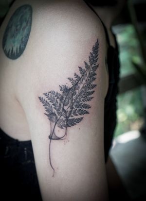 𝙄𝙂: 𝙣𝙖𝙩𝙚_𝙩𝙝𝙖𝙞𝙡𝙖𝙣𝙙 🌿 Blackwork fern leaf tattoo with abstract smoke by Baan Khagee Tattoo Chiang Mai, Thailand at Baan Khagee Tattoo in Chiang Mai
