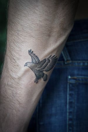 𝙄𝙂: 𝙣𝙖𝙩𝙚_𝙩𝙝𝙖𝙞𝙡𝙖𝙣𝙙 🌿 Blackwork small hawk tattoo by Baan Khagee Tattoo Chiang Mai, Thailand at Baan Khagee Tattoo in Chiang Mai