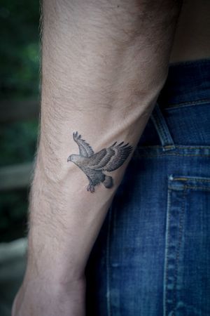 𝙄𝙂: 𝙣𝙖𝙩𝙚_𝙩𝙝𝙖𝙞𝙡𝙖𝙣𝙙 🌿 Minimal hawk tattoo on forearm by Thai tattooist in Chiang Mai at Baan Khagee Tattoo in Chiang Mai