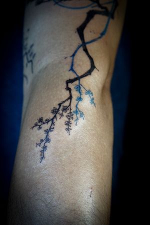 𝙄𝙂: 𝙣𝙖𝙩𝙚_𝙩𝙝𝙖𝙞𝙡𝙖𝙣𝙙 🌿 Sakura flowers tattoo by Baan Khagee Tattoo Chiang Mai, Thailand at Baan Khagee Tattoo in Chiang Mai