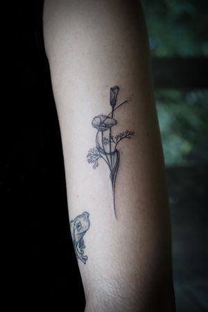 𝙄𝙂: 𝙣𝙖𝙩𝙚_𝙩𝙝𝙖𝙞𝙡𝙖𝙣𝙙 🌿 Blackwork California Poppy flower tattoo with flow by Thai tattoo artist in Chiang Mai, Thailand at Baan Khagee Tattoo in Chiang Mai