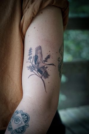 𝙄𝙂: 𝙣𝙖𝙩𝙚_𝙩𝙝𝙖𝙞𝙡𝙖𝙣𝙙 🌿 Blackwork crane bird tattoo with Lavender flowers by Thai tattooist at Baan Khagee Tattoo Chiang Mai at Baan Khagee Tattoo in Chiang Mai