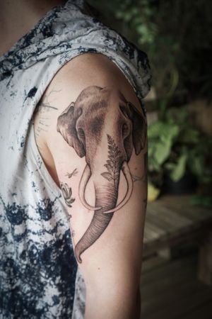 𝙄𝙂: 𝙣𝙖𝙩𝙚_𝙩𝙝𝙖𝙞𝙡𝙖𝙣𝙙 🌿 Realistic elephant tattoo with fern leaf by Thai tattoo artist in Chiang Mai, Thailand at Baan Khagee Tattoo in Chiang Mai