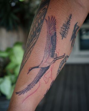 𝙄𝙂: 𝙣𝙖𝙩𝙚_𝙩𝙝𝙖𝙞𝙡𝙖𝙣𝙙 🍃 Japanese crane bird tattoo with abstract flow by a Thai tattooist in Chiang Mai, Thailand  at Baan Khagee Tattoo in Chiang Mai