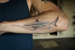 𝙄𝙂: 𝙣𝙖𝙩𝙚_𝙩𝙝𝙖𝙞𝙡𝙖𝙣𝙙 🍃 White tip reef shark tattoo with blue abstract flow by a Thai tattoo artist in Chiang Mai, Thailand at Baan Khagee Tattoo in Chiang Mai