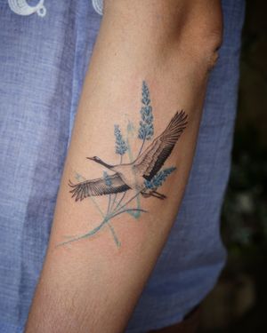 𝙄𝙂: 𝙣𝙖𝙩𝙚_𝙩𝙝𝙖𝙞𝙡𝙖𝙣𝙙 🍃 Japanese crane bird tattoo with blue lavender flowers by Baan Khagee Tattoo Chiang Mai, Thailand  at Baan Khagee Tattoo in Chiang Mai