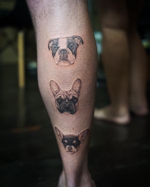 𝙄𝙂: 𝙣𝙖𝙩𝙚_𝙩𝙝𝙖𝙞𝙡𝙖𝙣𝙙 🍃 Portrait dog face tattoo by Baan Khagee Tattoo Chiang Mai, Thailand at Baan Khagee Tattoo in Chiang Mai