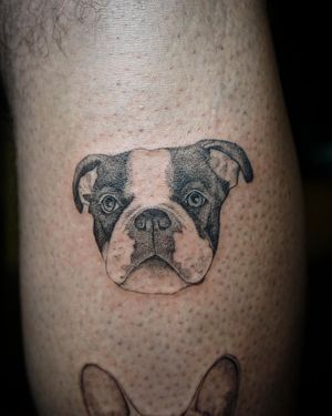 𝙄𝙂: 𝙣𝙖𝙩𝙚_𝙩𝙝𝙖𝙞𝙡𝙖𝙣𝙙 🍃 Portrait dog face tattoo by Baan Khagee Tattoo Chiang Mai, Thailand at Baan Khagee Tattoo in Chiang Mai