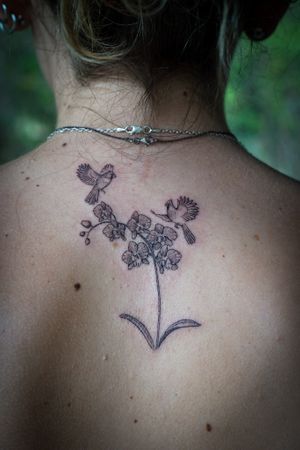 𝙄𝙂: 𝙣𝙖𝙩𝙚_𝙩𝙝𝙖𝙞𝙡𝙖𝙣𝙙 🍃 Minimal Orchid flower tattoo with Cardinal birds by Baan Khagee Tattoo Chiang Mai, Thailand at Baan Khagee Tattoo in Chiang Mai