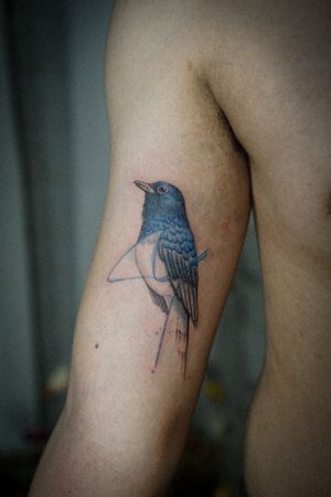 𝙄𝙂: 𝙣𝙖𝙩𝙚_𝙩𝙝𝙖𝙞𝙡𝙖𝙣𝙙 🍃 White-rumped shama bird tattoo with abstract flow by a Thai tattoo artist in Chiang Mai, Thailand at Baan Khagee Tattoo in Chiang Mai