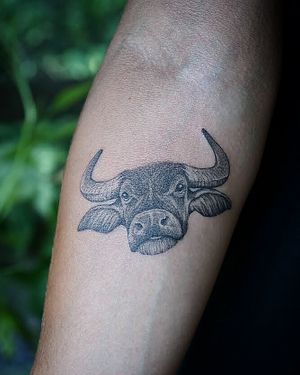 𝙄𝙂: 𝙣𝙖𝙩𝙚_𝙩𝙝𝙖𝙞𝙡𝙖𝙣𝙙 🍃 Micro realistic Thai water buffalo tattoo by Baan Khagee Tattoo Chiang Mai, Thailand at Baan Khagee Tattoo in Chiang Mai