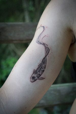 𝙄𝙂: 𝙣𝙖𝙩𝙚_𝙩𝙝𝙖𝙞𝙡𝙖𝙣𝙙 🍃 Flowing Koi fish tattoo by a Thai tattoo artist in Chiang Mai, Thailand at Baan Khagee Tattoo in Chiang Mai