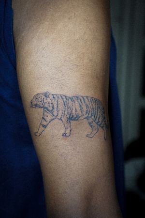 𝙄𝙂: 𝙣𝙖𝙩𝙚_𝙩𝙝𝙖𝙞𝙡𝙖𝙣𝙙 🍃 Fine line tiger tattoo by Baan Khagee Tattoo Chiang Mai, Thailand at Baan Khagee Tattoo in Chiang Mai