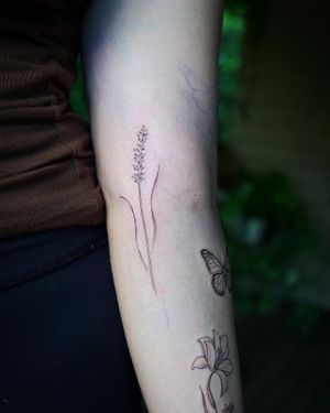 𝙄𝙂: 𝙣𝙖𝙩𝙚_𝙩𝙝𝙖𝙞𝙡𝙖𝙣𝙙 🍃 Fine line lavender flower tattoo by Baan Khagee Tattoo Chiang Mai, Thailand at Baan Khagee Tattoo in Chiang Mai