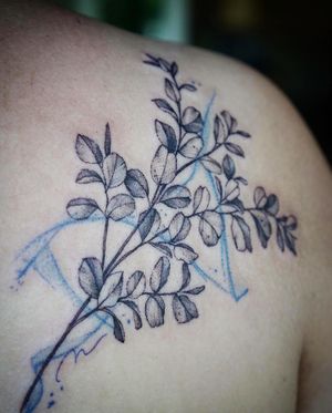𝙄𝙂: 𝙣𝙖𝙩𝙚_𝙩𝙝𝙖𝙞𝙡𝙖𝙣𝙙 🍃 Fine line Eucalyptus branches tattoo with abstract flow by Baan Khagee Tattoo Chiang Mai, Thailand at Baan Khagee Tattoo in Chiang Mai