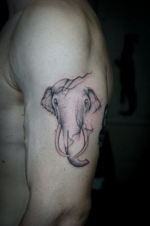 𝙄𝙂: 𝙣𝙖𝙩𝙚_𝙩𝙝𝙖𝙞𝙡𝙖𝙣𝙙 🍃 Realistic Thai elephant tattoo in flowing style by Baan Khagee Tattoo Chiang Mai, Thailand at Baan Khagee Tattoo in Chiang Mai