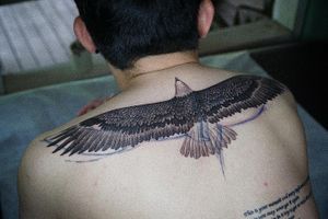 𝙄𝙂: 𝙣𝙖𝙩𝙚_𝙩𝙝𝙖𝙞𝙡𝙖𝙣𝙙 🍃 Blackwork Bald eagle tattoo with flowing line done by Thai tattooer in Chiang Mai at Baan Khagee Tattoo at Baan Khagee Tattoo in Chiang Mai