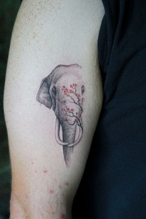 𝙄𝙂: 𝙣𝙖𝙩𝙚_𝙩𝙝𝙖𝙞𝙡𝙖𝙣𝙙 🍃 Realistic Thai elephant tattoo with Sakura branches by Baan Khagee Tattoo Chiang Mai, Thailand at Baan Khagee Tattoo in Chiang Mai