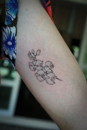 𝙄𝙂: 𝙣𝙖𝙩𝙚_𝙩𝙝𝙖𝙞𝙡𝙖𝙣𝙙 🍃 Fine line orchid flowers tattoo by Baan Khagee Tattoo Chiang Mai, Thailand at Baan Khagee Tattoo in Chiang Mai