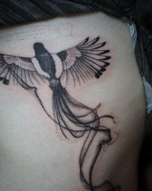 𝙄𝙂: 𝙣𝙖𝙩𝙚_𝙩𝙝𝙖𝙞𝙡𝙖𝙣𝙙 🍃 Blackwork Magpie bird tattoo in flowing style done by Baan Khagee Tattoo Chiang Mai, Thailand at Baan Khagee Tattoo in Chiang Mai