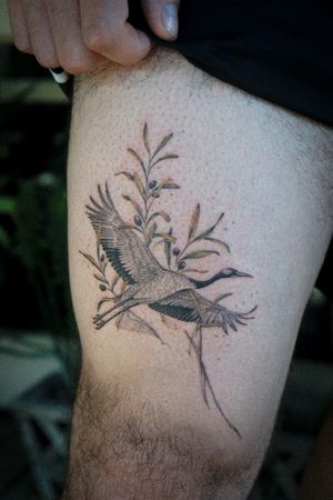 𝙄𝙂: 𝙣𝙖𝙩𝙚_𝙩𝙝𝙖𝙞𝙡𝙖𝙣𝙙 🍃 Japanese crane tattoo with olive branches in flowing style by Baan Khagee Tattoo Chiang Mai, Thailand at Baan Khagee Tattoo in Chiang Mai