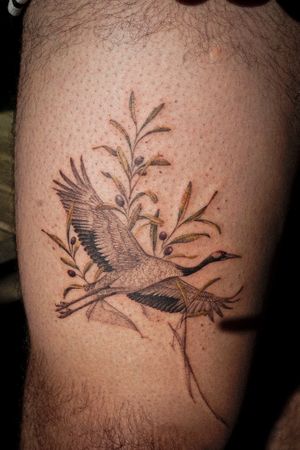 𝙄𝙂: 𝙣𝙖𝙩𝙚_𝙩𝙝𝙖𝙞𝙡𝙖𝙣𝙙 🍃 Blackwork flying Japanese crane tattoo with olive branches done by a Thai tattoo artist in Chiang Mai, Thailand at Baan Khagee Tattoo in Chiang Mai