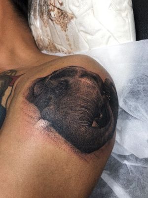 𝙄𝙂: 𝙣𝙖𝙩𝙚_𝙩𝙝𝙖𝙞𝙡𝙖𝙣𝙙 🍃 Blackwork realistic elephant tattoo by Baan Khagee Tattoo Chiang Mai, Thailand at Baan Khagee Tattoo in Chiang Mai