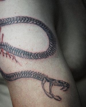 𝙄𝙂: 𝙣𝙖𝙩𝙚_𝙩𝙝𝙖𝙞𝙡𝙖𝙣𝙙 🍃 Fine line snake skeleton tattoo by Baan Khagee Tattoo Chiang Mai, Thailand at Baan Khagee Tattoo in Chiang Mai